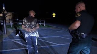 K9 Search