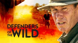 Defenders of the Wild
