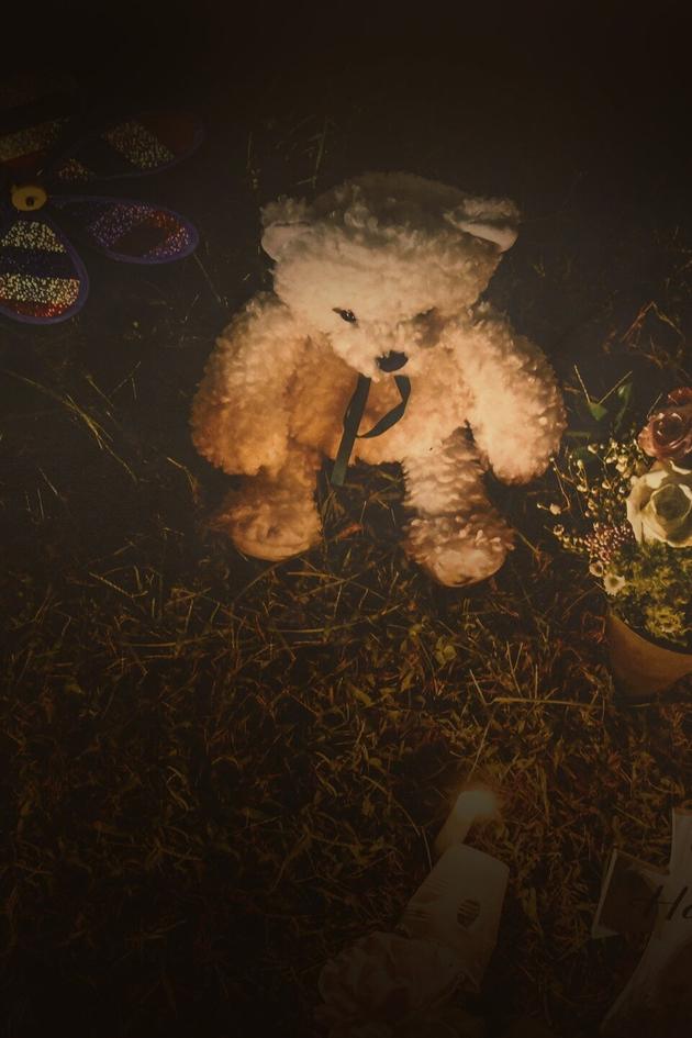 The Murder of Gabby Petito: What Really Happened