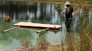 Floating Shelter