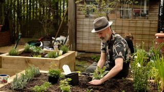 Kitchen Gardens