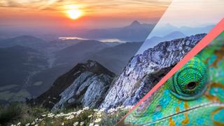 Business Sustainability