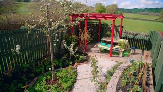 Growing Your Own Food