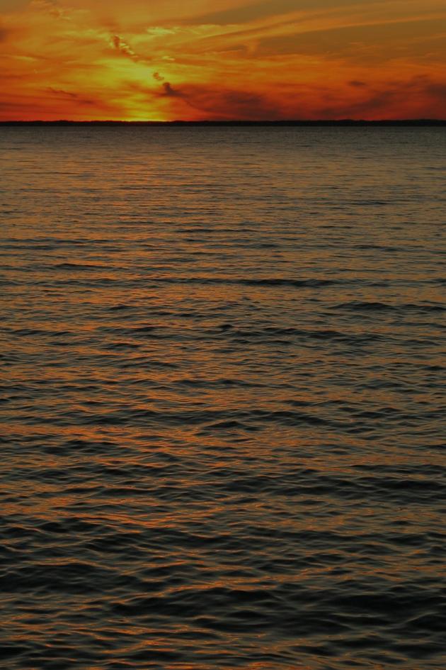 Elite Fishing Series Television