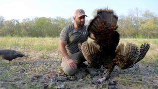 Talking Turkey: Frank Stallone