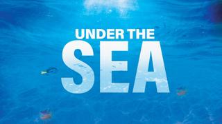 Under the Sea