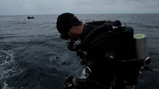 Rogue Waves
