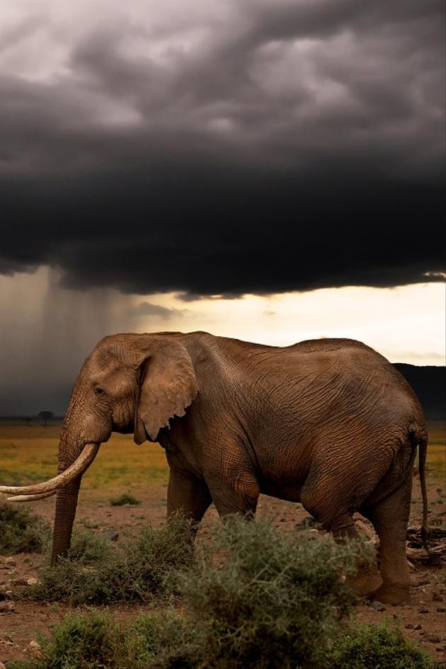 Chasing the Rains