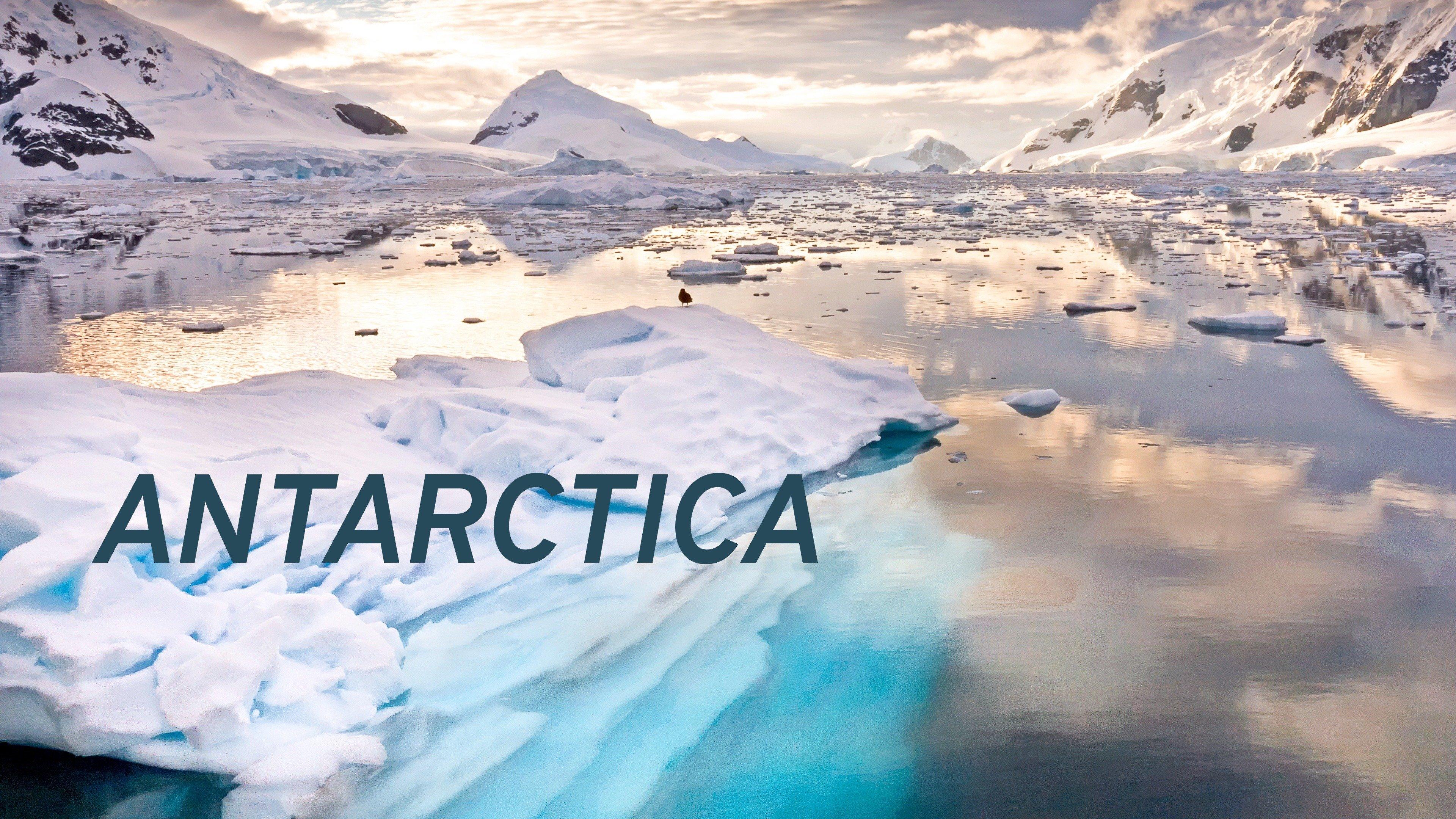 Watch Antarctica Streaming Online on Philo (Free Trial)