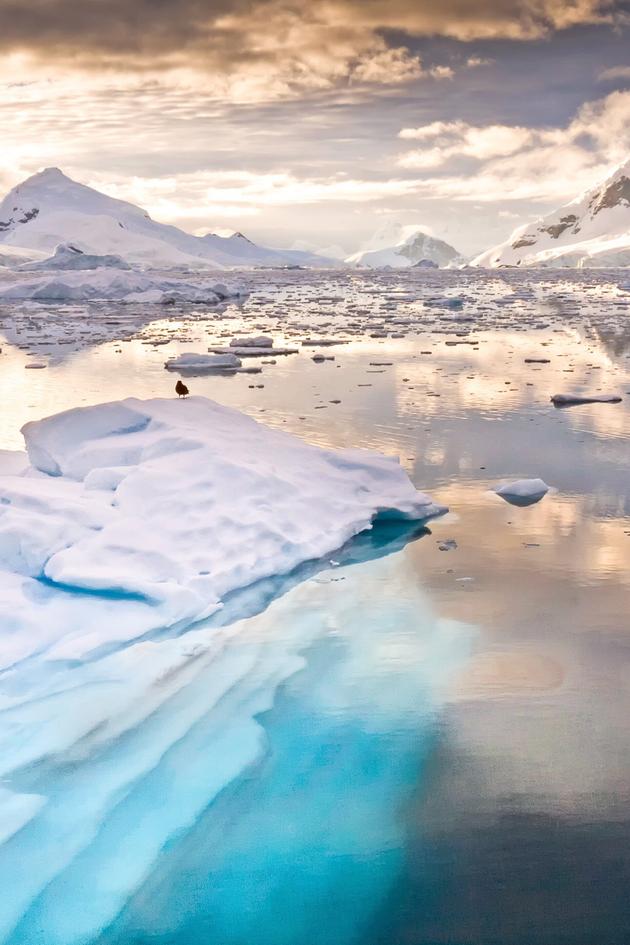 Antarctica