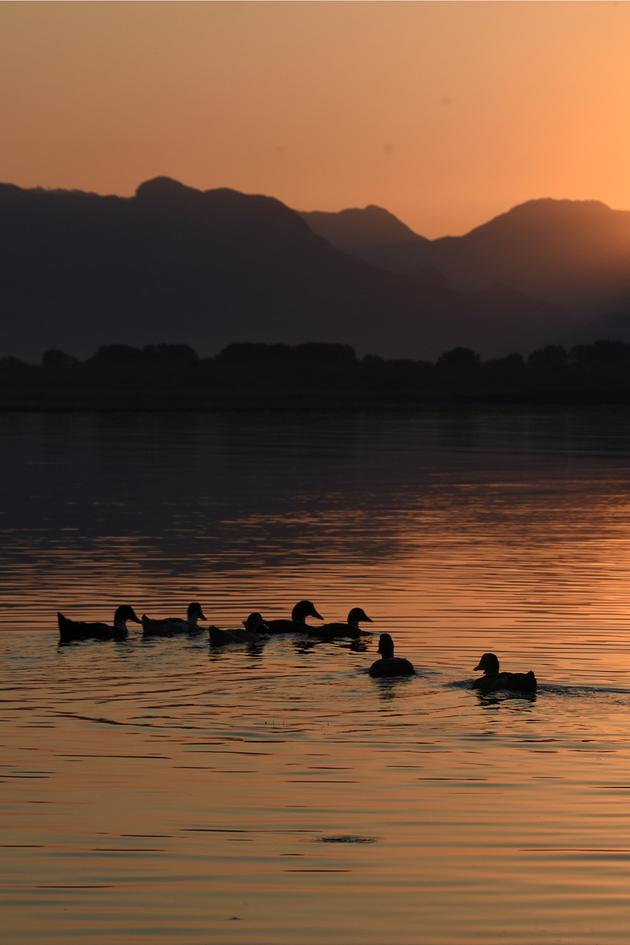 Untamed Albania