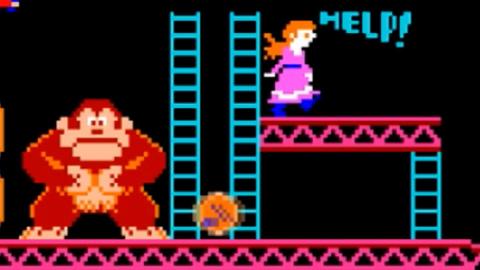 Plumber Bros vs. Hedgehog