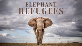  watch Elephant Refugees