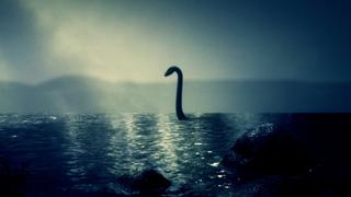 Sea Creatures