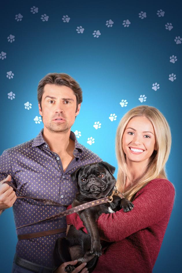 The Dog Lover's Guide to Dating