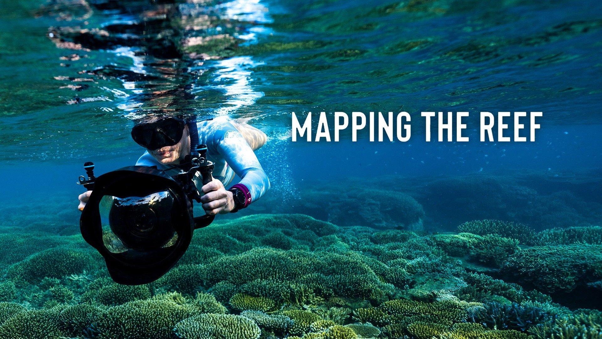 The Reef En Streaming Watch Mapping the Reef Streaming Online on Philo (Free Trial)