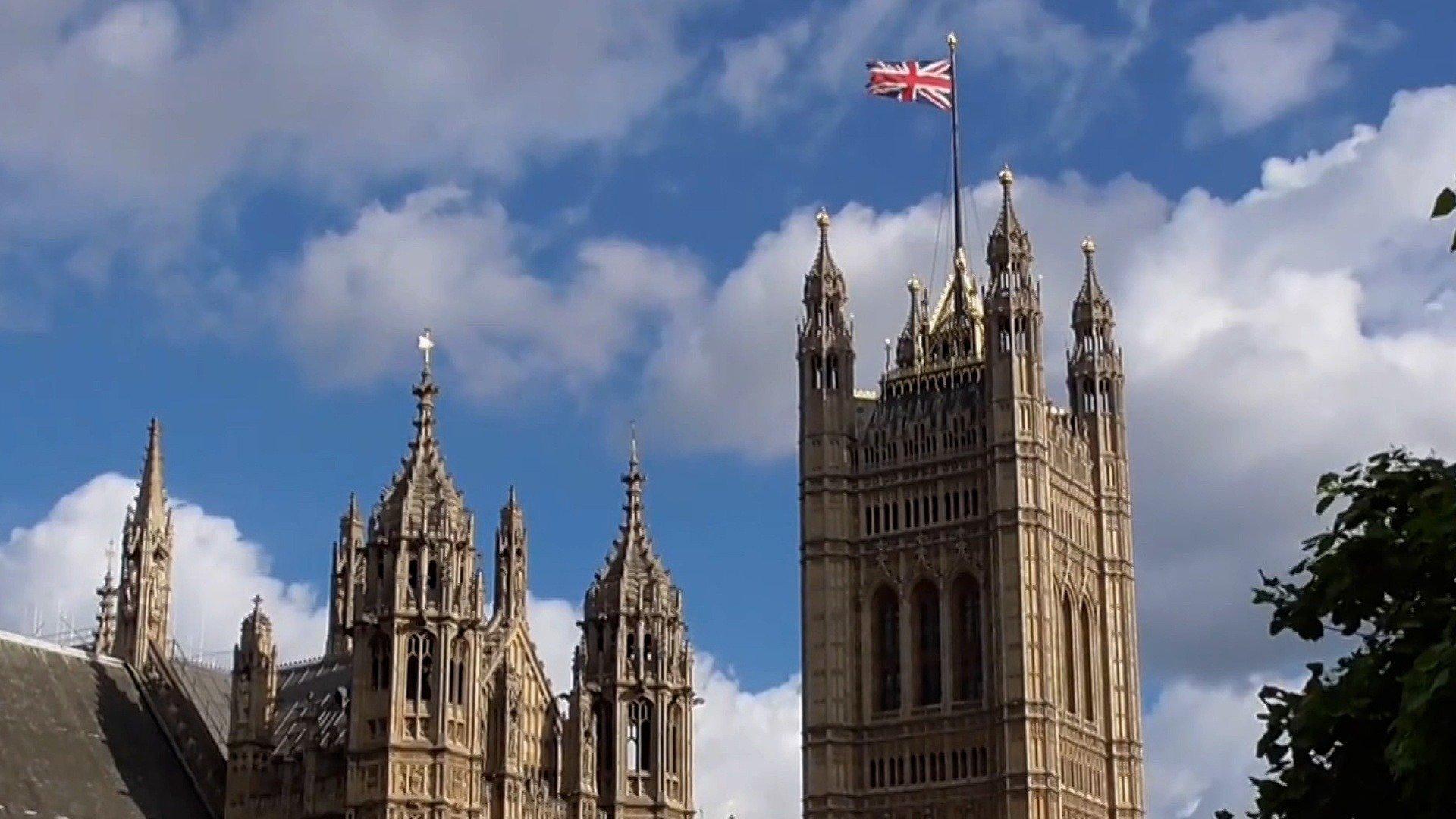 Neighborhood Wars Neighbors and Axes and Knives Oh My!