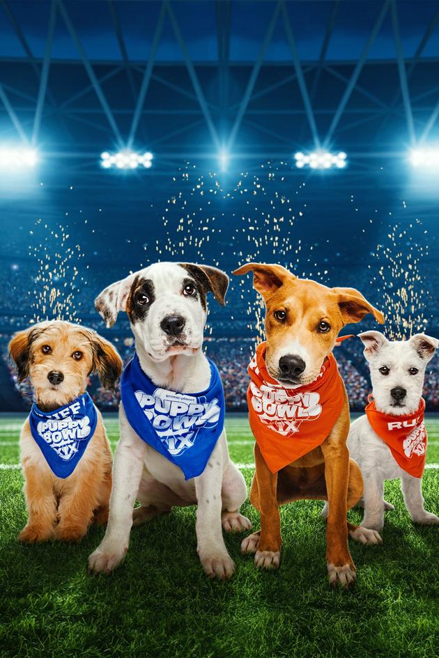 Puppy Bowl XIX