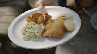 Turkey Tenders & Salmon With Lemon & Dill