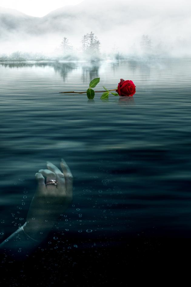 Watch A Rose for Her Grave: The Randy Roth Story Streaming Online on Philo