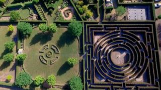 Quirky Gardens