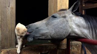 Best Friends