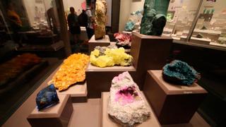 The Museum of Natural History Heist