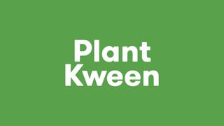 Plant Kween