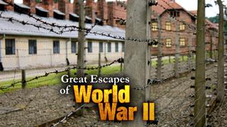 Great Escapes of World War II