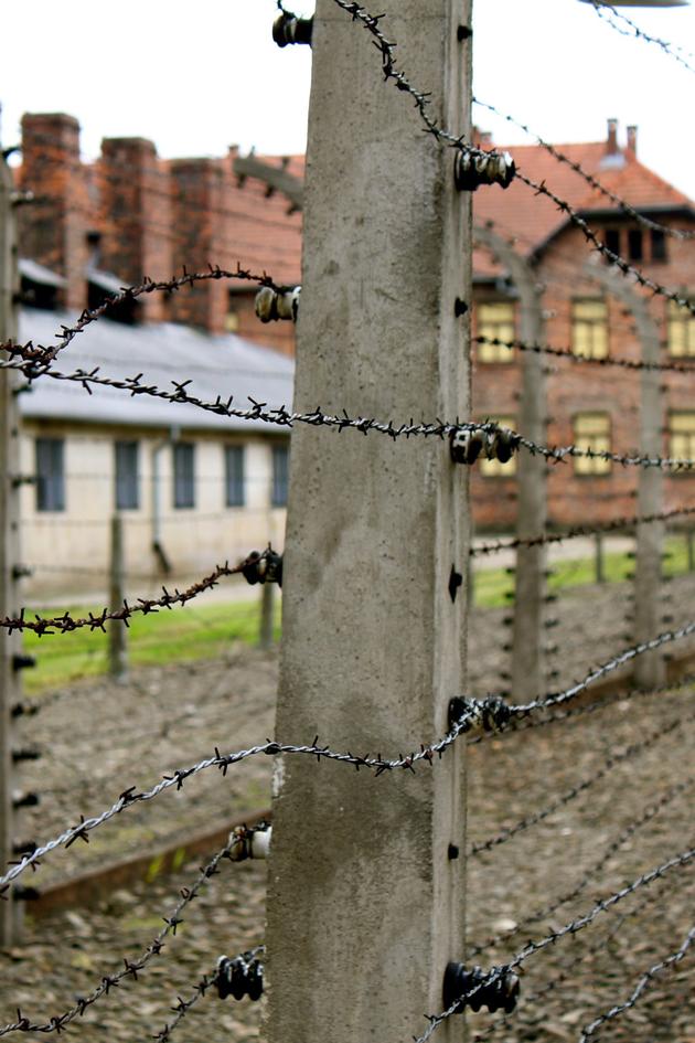 Great Escapes of World War II