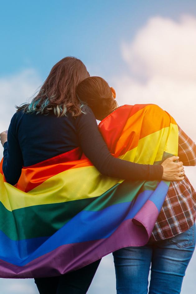 The History of LGBTQ Animation