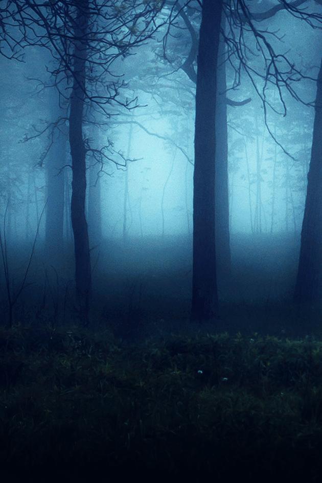 Haunted History