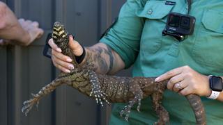 Slithery Delivery