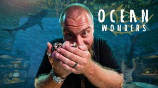 Ocean Wonders