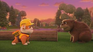The Crew Builds a Beaver Home; The Crew Fixes a Road