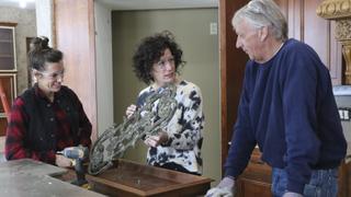 Defrost Disasters and Falling Limbs