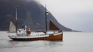 Smugglers and Pirates