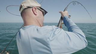 Gulf Expedition, Part 2