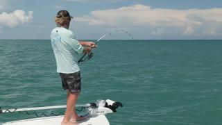 Cape Canaveral Mullet Run