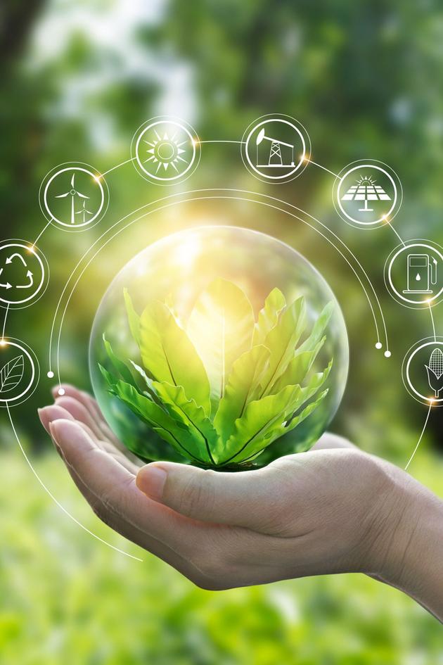 Nature's Networks