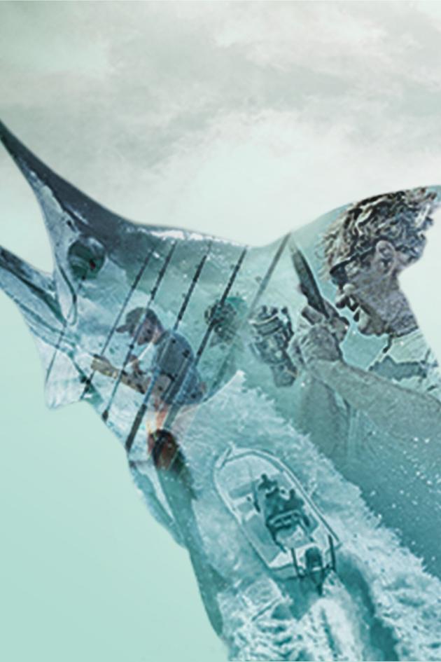 Sport Fishing TV Phenomenon