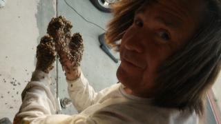 Island of the Killer Bees