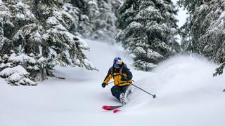 Tree Skiing Mastery