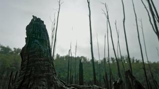 The Storm