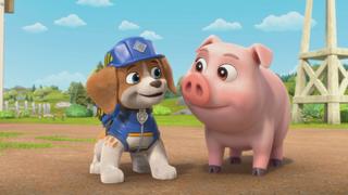The Crew Builds a Pig Barn; The Crew Builds a Giant Runway