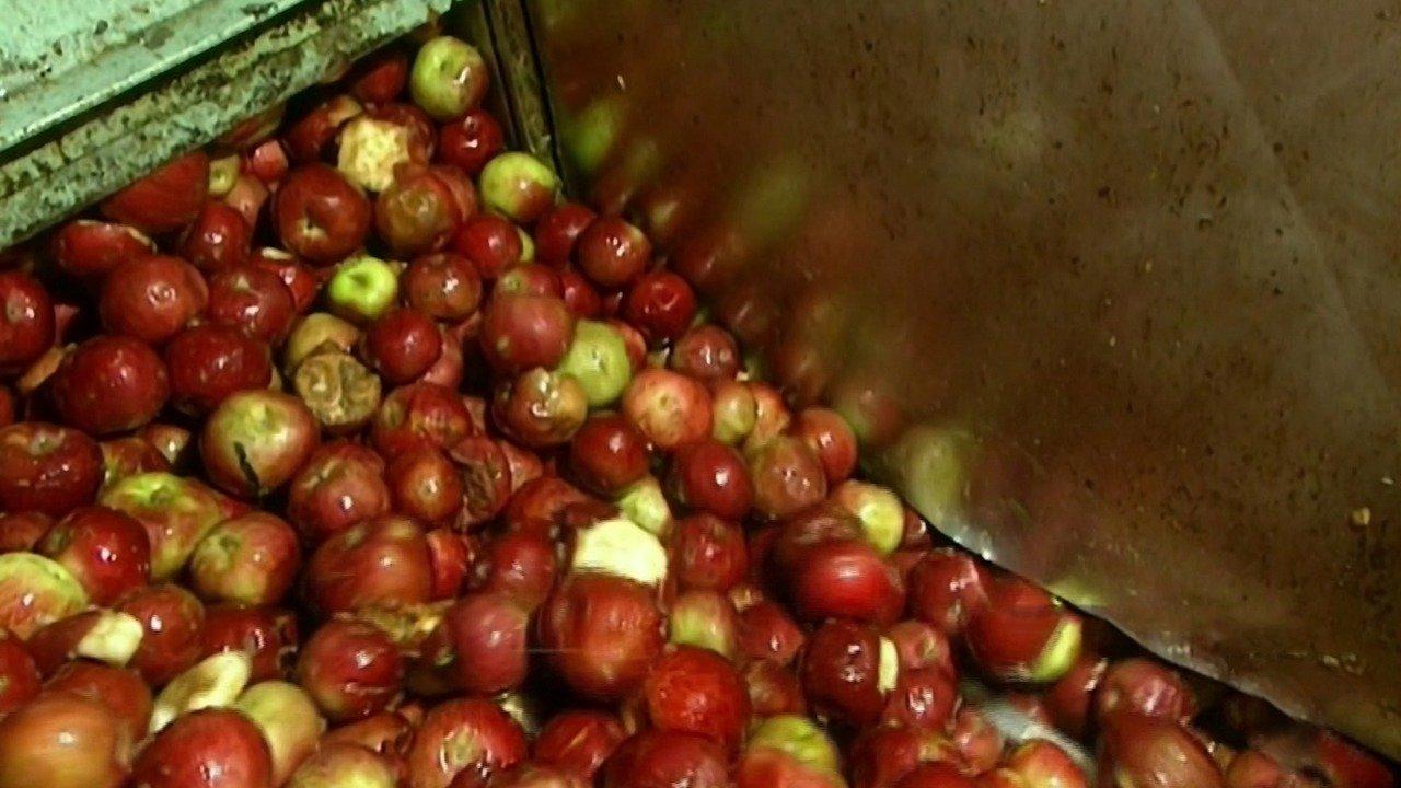 How It's Made Steel; Apple Juice; Aircraft Landing Gear; Cosmetics; Etc.