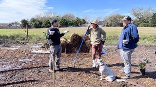 Embrace The Swamp Embrace The Swamp