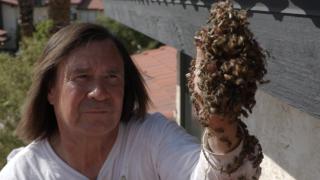 Art's in the Eye of the Bee-Holder