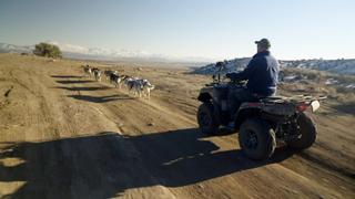 School of Rock Crawling