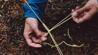 Essential Knots Unveiled